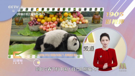 秘书下面又紧又湿